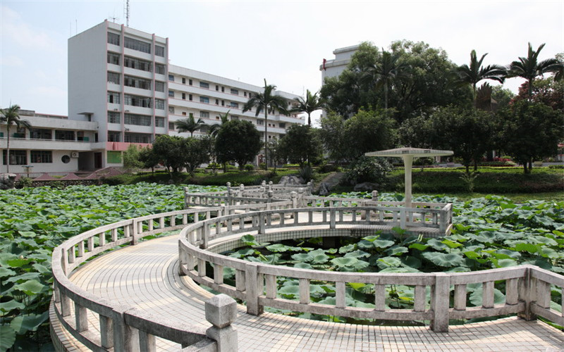 2023年广西农业职业技术学院在云南录取批次及录取分数参考