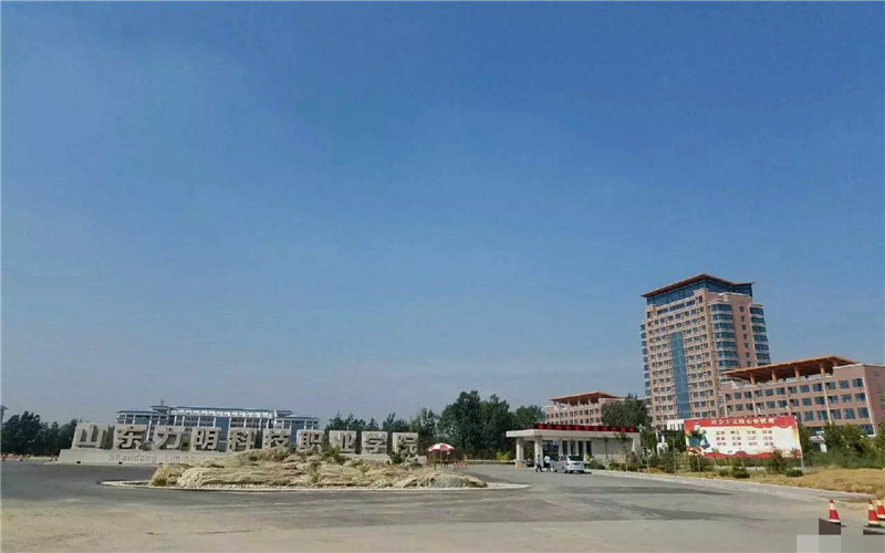 2024年山东力明科技职业学院早期教育专业在山东录取分数线参考
