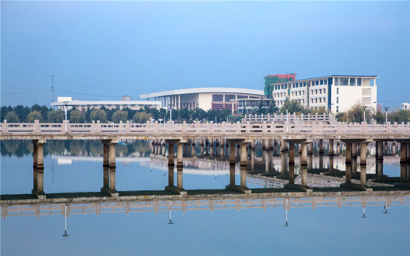 2024年威海职业学院船舶工程技术专业在辽宁录取分数线参考