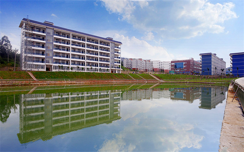 2023年广西理工职业技术学院在湖南招生专业及招生人数汇总