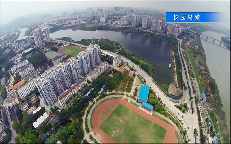 广西职业师范学院电子商务专业录取分数线【广西高考理科】