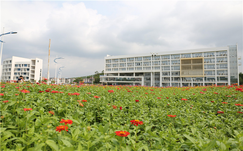 广西财经学院新闻学专业在重庆招生录取分数(历史类)：490分