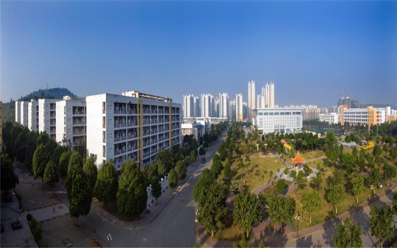 广西民族师范学院秘书学专业录取分数线【河北高考历史类】