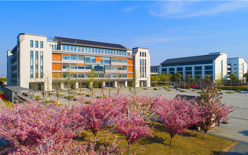 江苏城乡建设职业学院建设工程管理专业在山东招生录取分数(综合)：384分