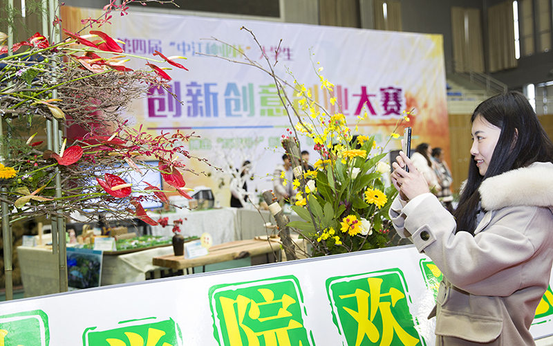 山东综合考生排多少名可以上江苏农林职业技术学院茶叶生产与加工技术专业?