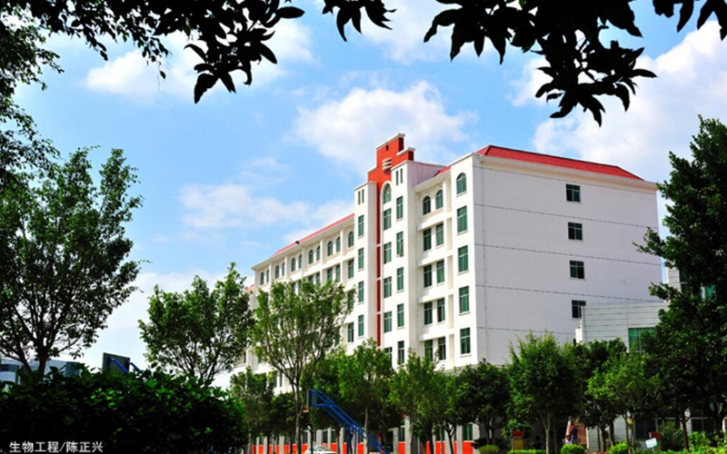 2023年闽南科技学院在河南录取批次及录取分数参考