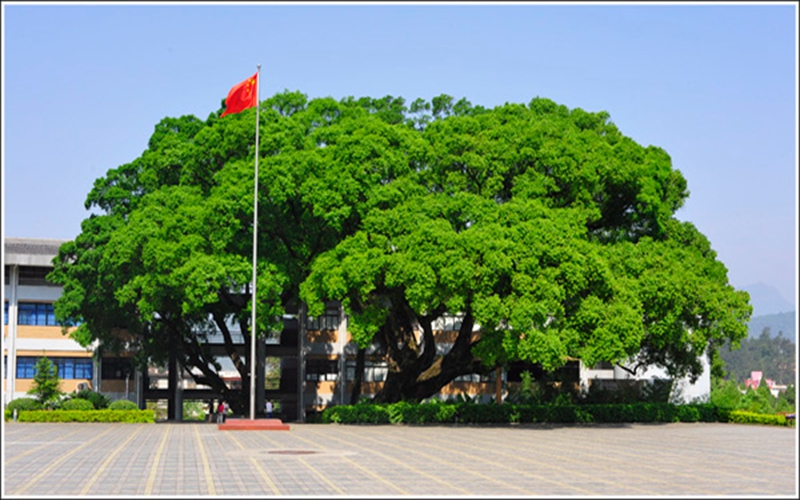 龙岩学院经济与贸易类专业在浙江招生录取分数(综合)：562分