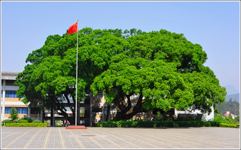 多少分可以上龙岩学院？龙岩学院2022年在辽宁各招生专业录取分数汇总