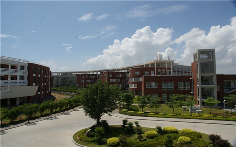 2023年厦门软件职业技术学院在黑龙江录取批次及录取分数参考