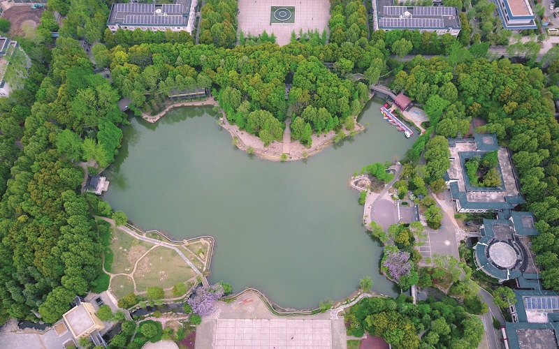 武汉生物工程学院药品经营与管理专业录取分数线【河北高考物理类】