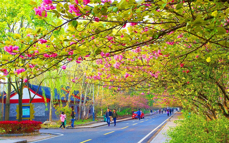 武汉生物工程学院计算机科学与技术专业在浙江招生录取分数(综合)：523分