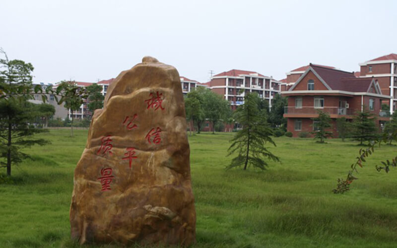 上海杉达学院会计学（双语教学）专业在浙江招生录取分数(综合)：529分
