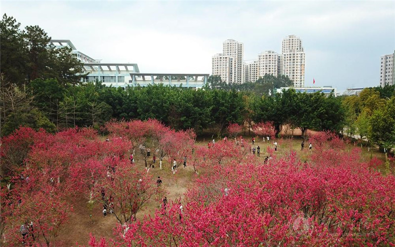【2022高考参考】贺州学院2021年云南最低录取分数及位次