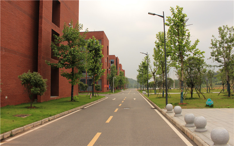 2024考生参考：2023湖北师范大学文理学院中文专业在河北招生录取分数及录取位次