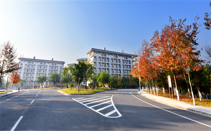 重庆历史类考生排多少名可以上桂林旅游学院会计学专业?