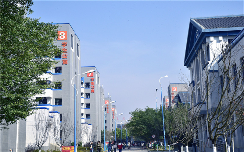 2023年柳州城市职业学院在贵州招生专业及招生人数汇总