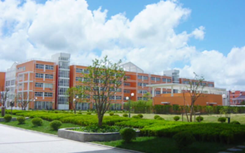 2023年上海思博职业技术学院在浙江招生专业有哪些？学费是多少？