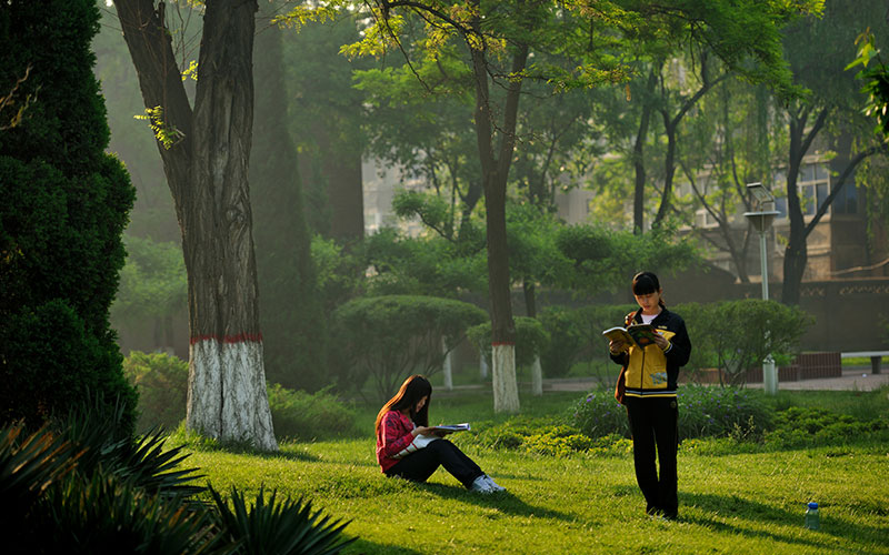 2024考生参考：2023河北大学光电信息科学与工程专业在山东招生录取分数及录取位次