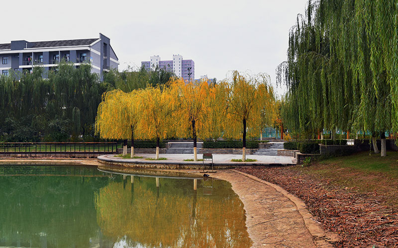 2022年河北师范大学在北京招生专业及招生人数汇总（2023考生参考）