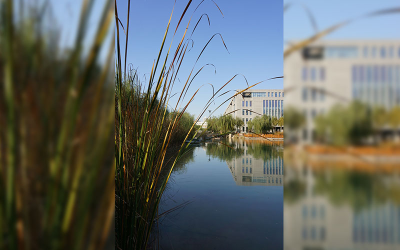 多少分可以上河北师范大学？河北师范大学2021年在天津各专业录取分数线