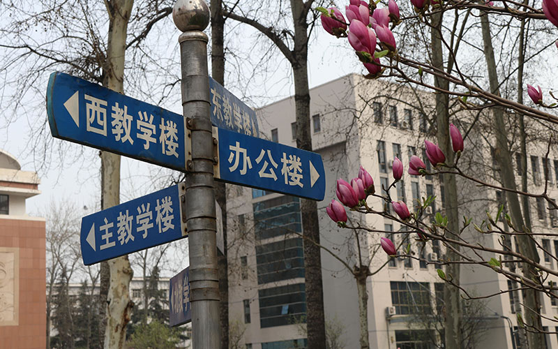 2023年河北医科大学在上海招生专业及招生人数汇总
