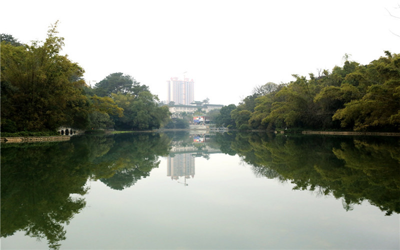 广西民族大学金融学（中澳学分互认联合培养）专业在浙江招生录取分数(综合)：550分