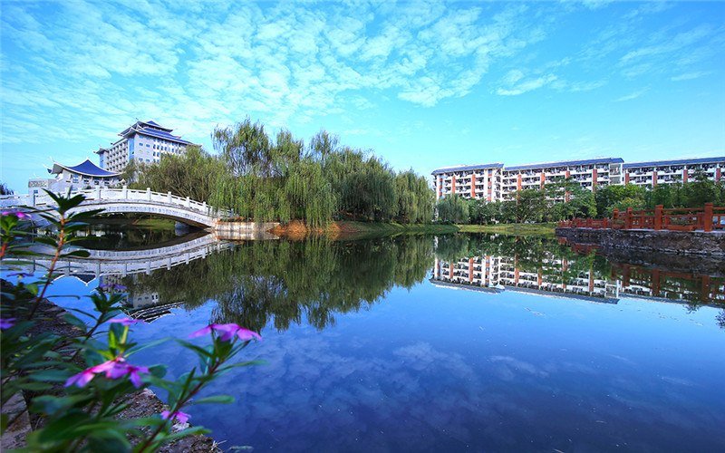 广西民族大学相思湖学院旅游管理专业录取分数线【河北高考物理类】