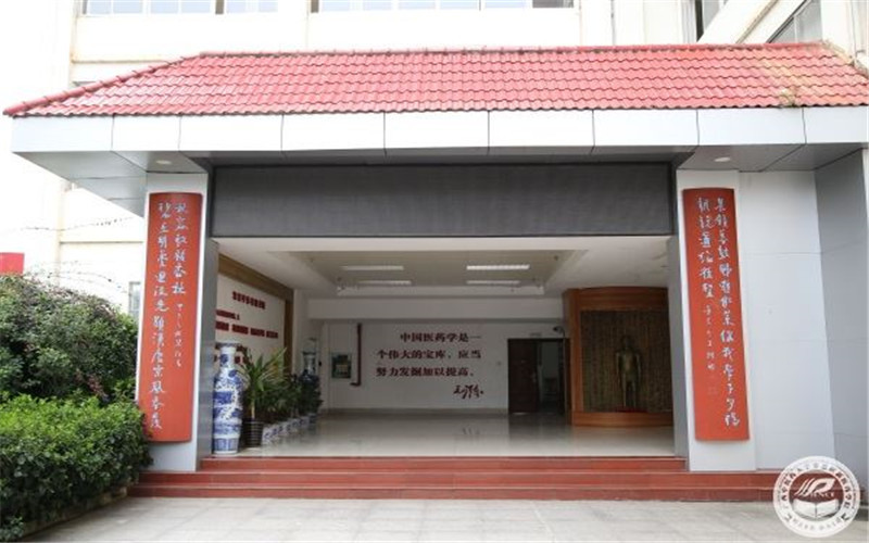 广西中医药大学赛恩斯新医药学院医学影像技术专业在浙江招生录取分数(综合)：551分