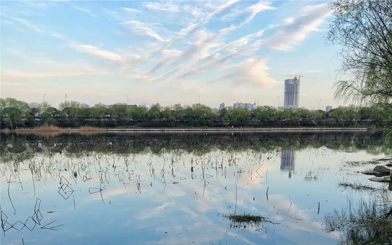 湖南师范大学政治学与行政学专业录取分数线【北京高考综合】