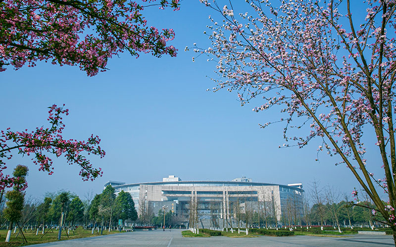 西南交通大学安全工程（中外合作办学）专业在河北招生录取分数(物理类)：552分