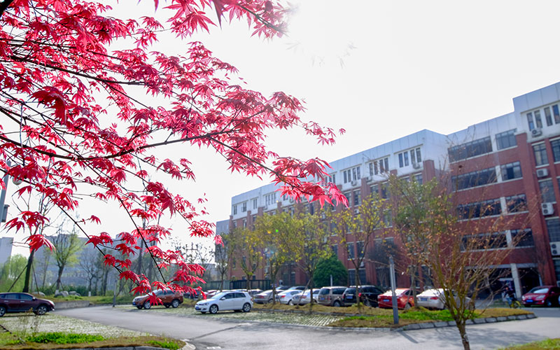 西南交通大学人工智能专业录取分数线【黑龙江高考理科】