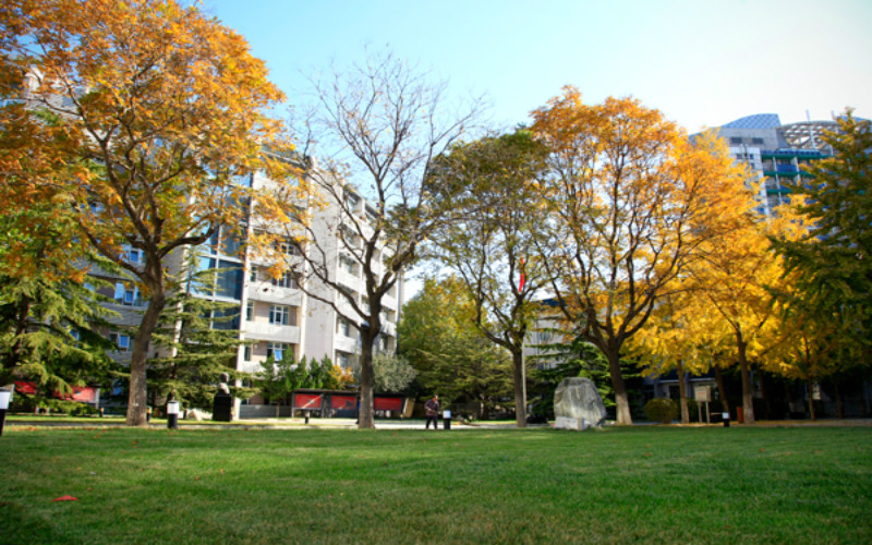 2023年北京青年政治学院在北京招生专业有哪些？学费是多少？