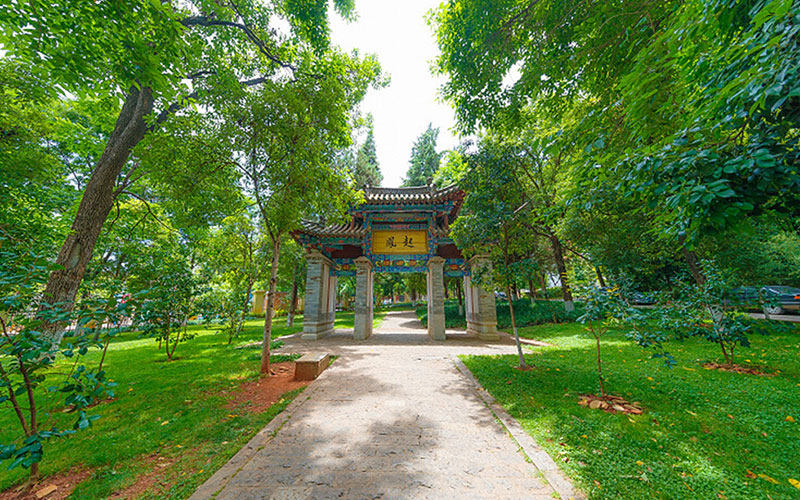 云南大学环境科学与工程类专业录取分数线【重庆高考物理类】