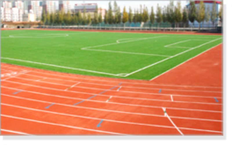 内蒙古体育职业学院休闲体育专业在内蒙古招生录取分数(理科)：199分
