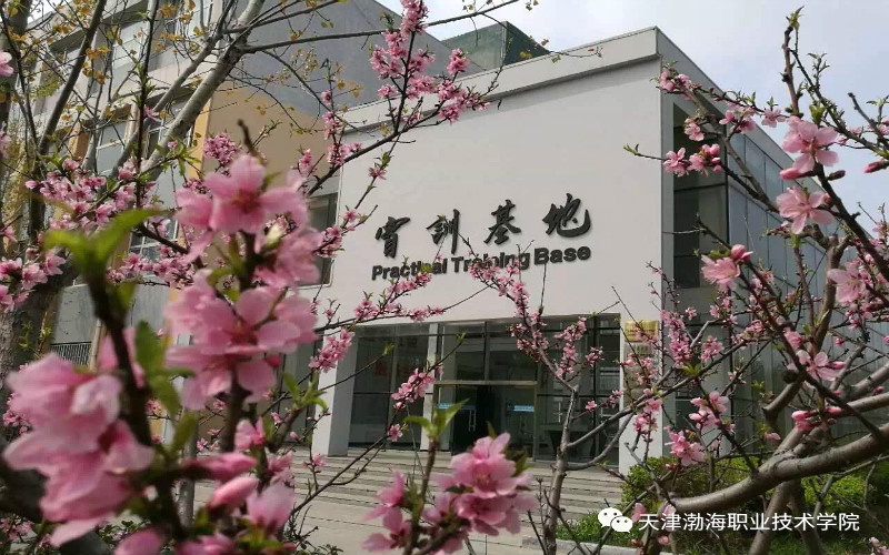 河北历史类考生排多少名可以上天津渤海职业技术学院无人机应用技术专业?
