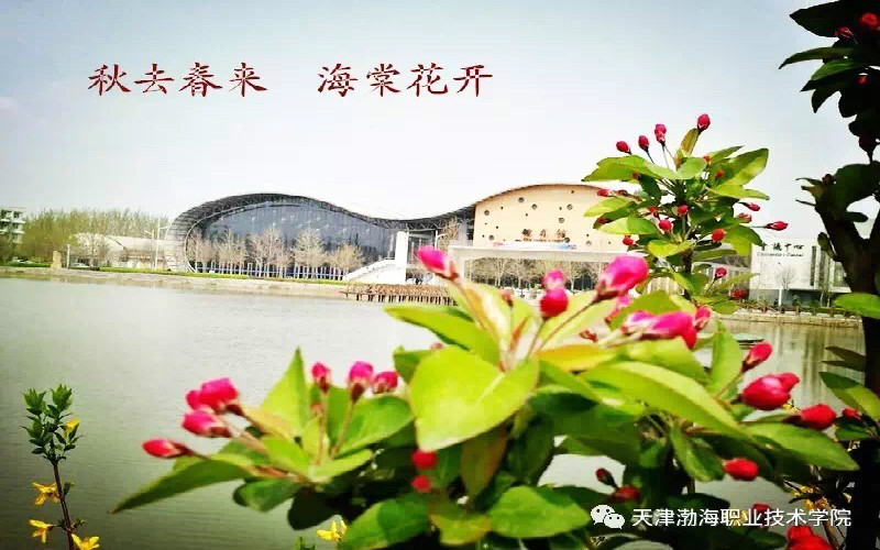 天津渤海职业技术学院大数据与会计专业在河北招生录取分数(历史类)：431分