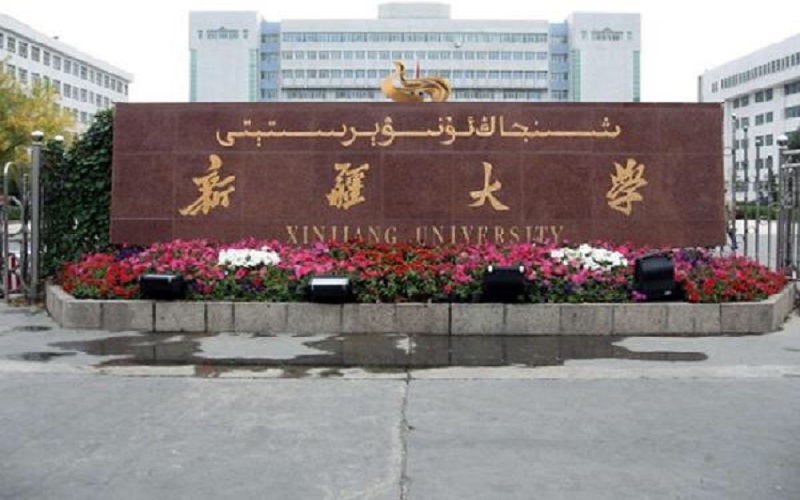 2024考生参考：2023新疆大学软件工程专业在山东招生录取分数及录取位次