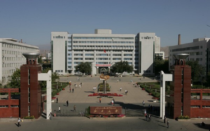 2024考生参考：2023新疆大学生物科学专业在山东招生录取分数及录取位次