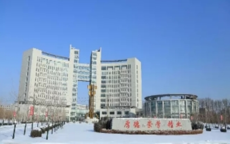 辽宁经济职业技术学院大数据与会计专业在内蒙古招生录取分数(文科)：291分