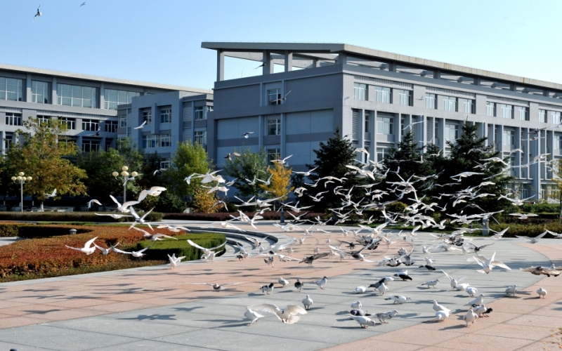 2023年沈阳体育学院在内蒙古招生专业有哪些？学费是多少？