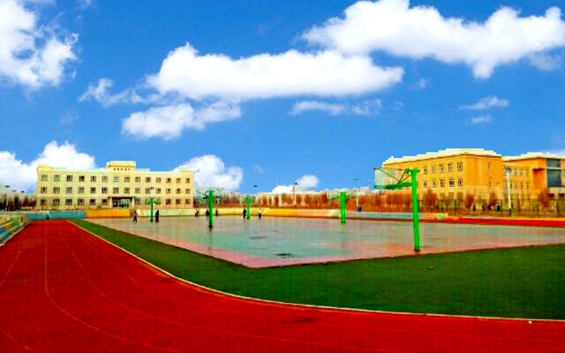 2024年新疆能源职业技术学院计算机应用技术专业在山东录取分数线参考