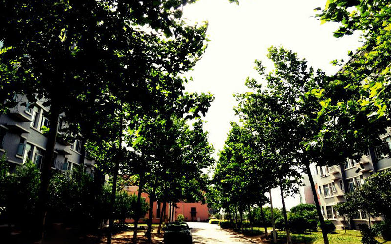 河北历史类考生排多少名可以上连云港师范高等专科学校小学数学教育专业?