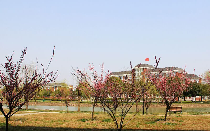 2023年上海立达学院在安徽招生专业及招生人数汇总