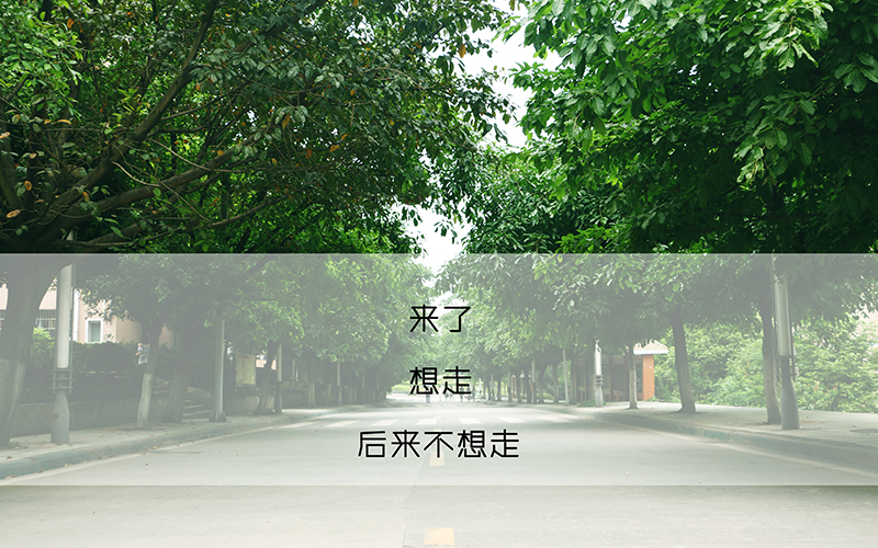 四川文理学院数学与应用数学专业录取分数线【四川高考理科】