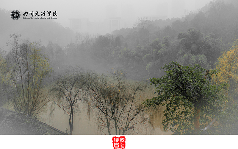 2024考生参考：2023四川文理学院历史学（师范类）专业在山东招生录取分数及录取位次
