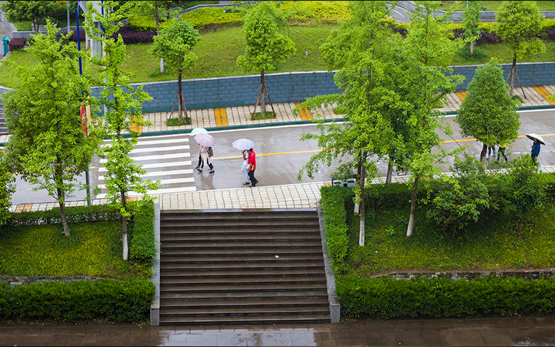 2024考生参考：2023四川文理学院特殊教育专业在河北招生录取分数及录取位次