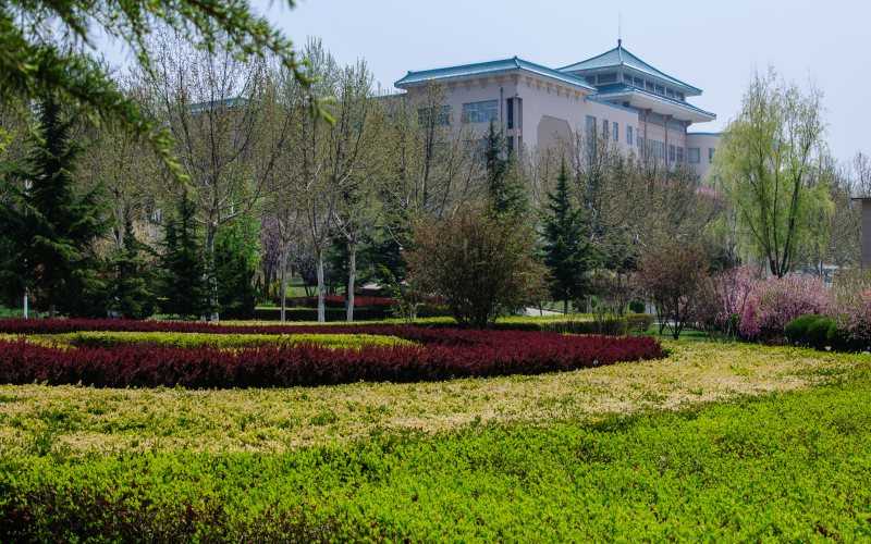 2023年大连民族大学在上海招生专业及招生人数汇总