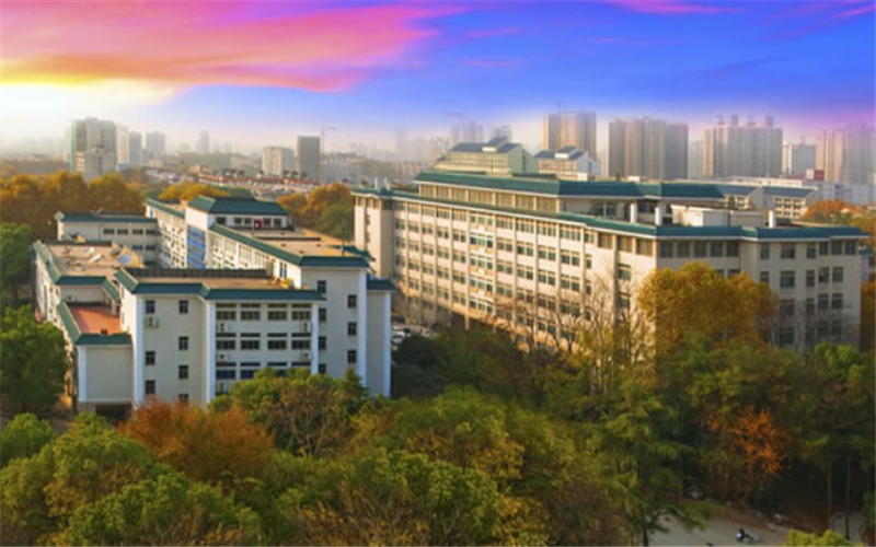 河北物理类考生排多少名可以上华中师范大学数据科学与大数据技术专业?