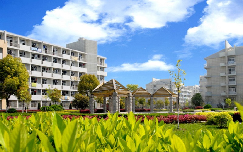 2024年合肥工业大学工业工程专业在浙江录取分数线参考