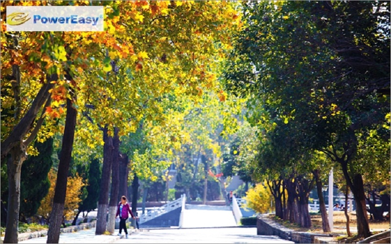 多少分可以上淮北师范大学？淮北师范大学2022年在陕西各招生专业录取分数汇总